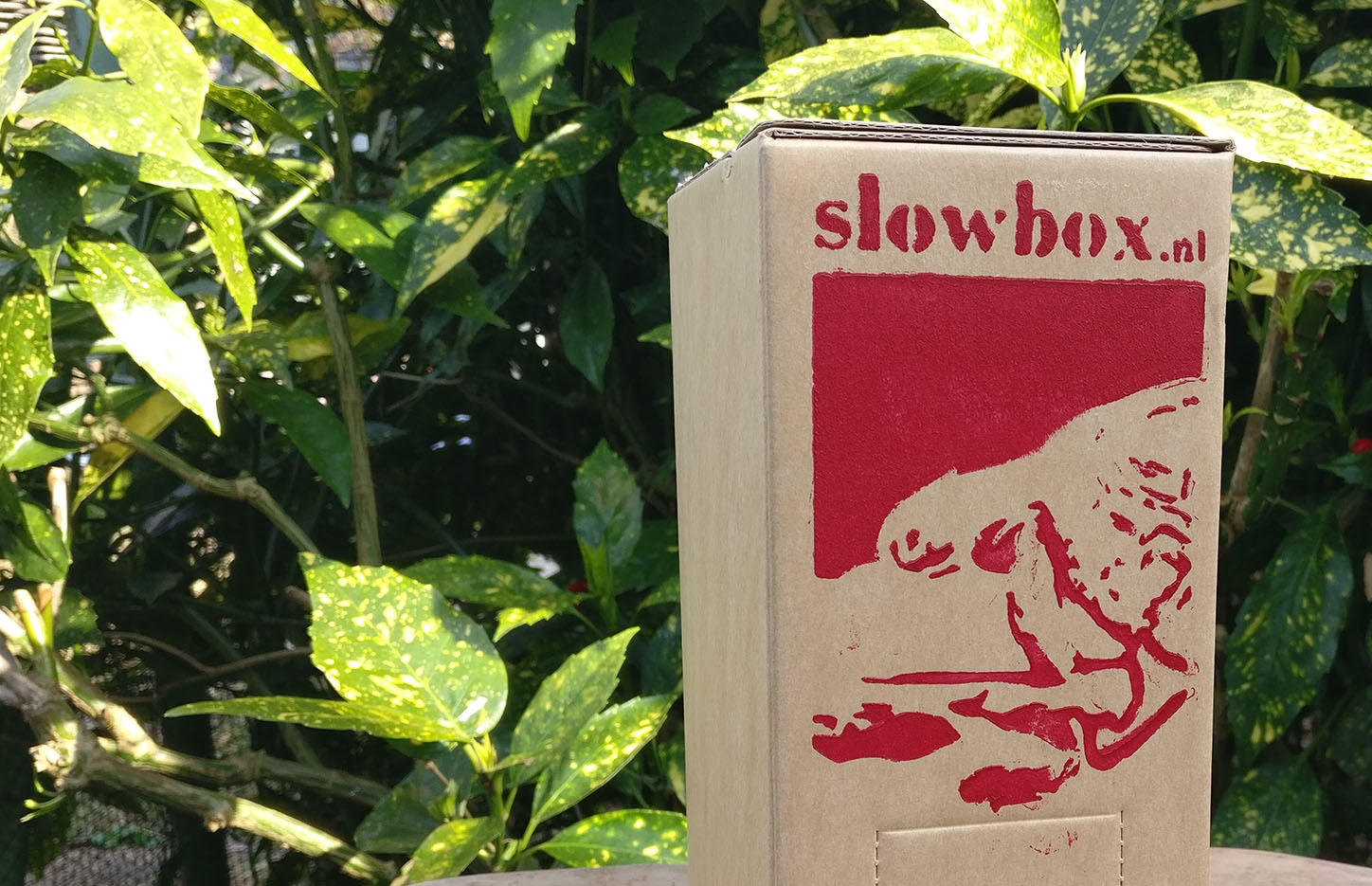 slowbox